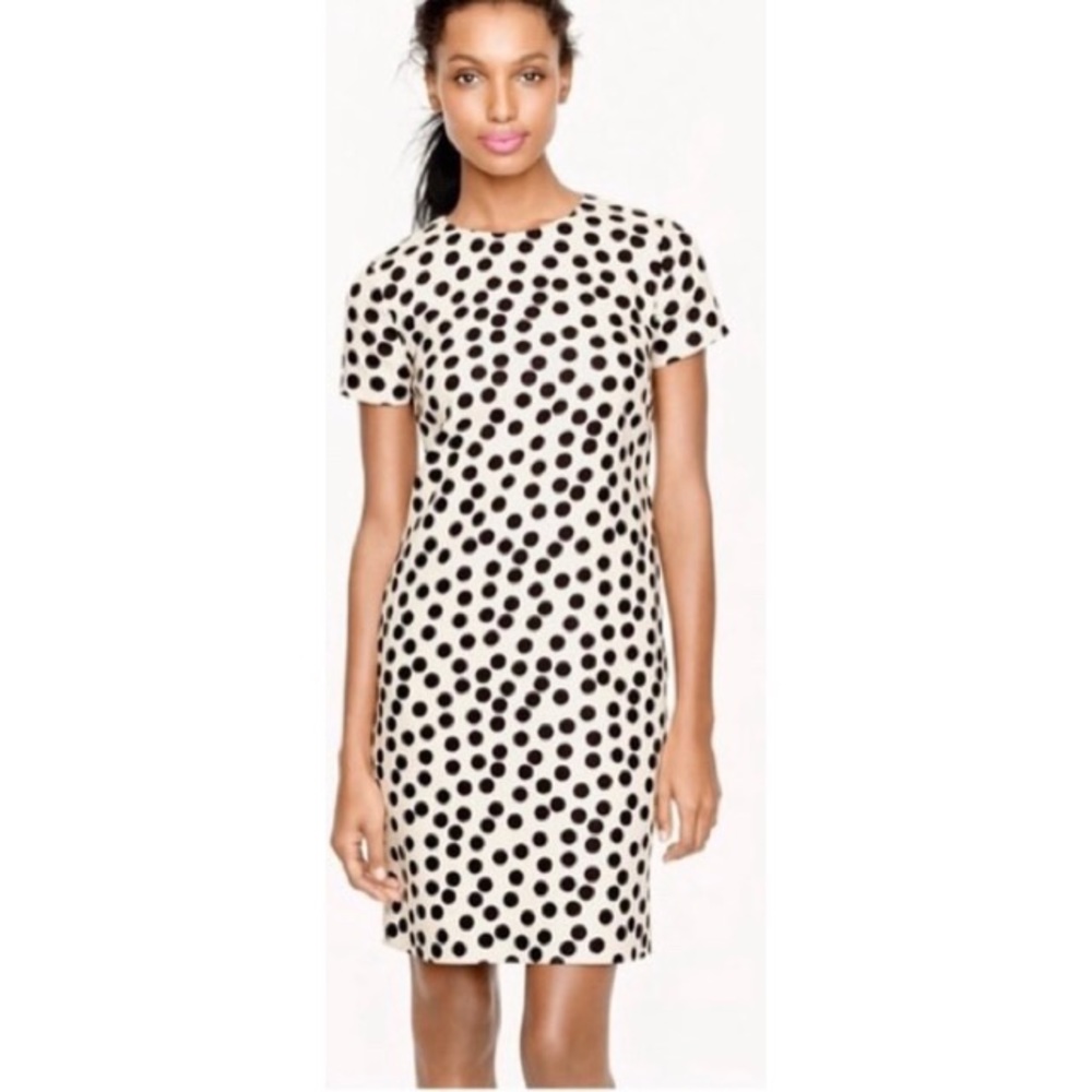 J. Crew Polka Dot Shift Dress